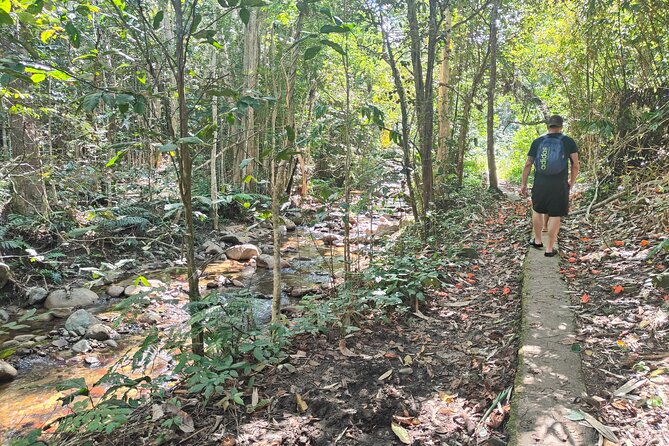 16 Lines Zipline, Cave, Hiking & Biausevu Waterfall Combo Tour - Cave time: plan for short, guided exploration (and damp shoes later)