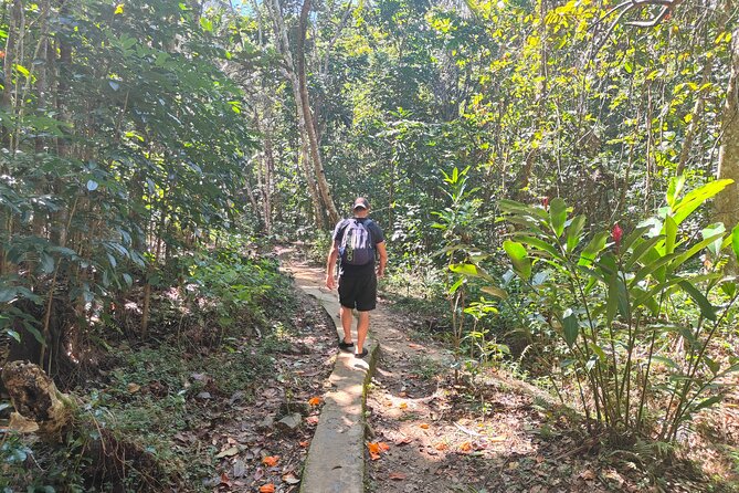 16 Lines Zipline, Cave, Hiking & Biausevu Waterfall Combo Tour - Price and value: what $182.97 includes (and what you might add)