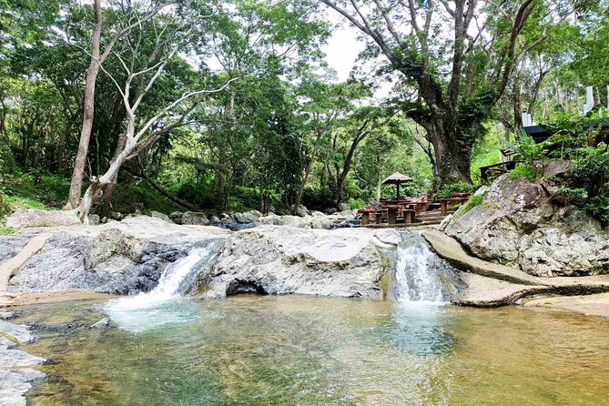 6 Hours Giant Zipline Adventure Park in Fiji - Price and Value: Why $86 Can Make Sense in Fiji