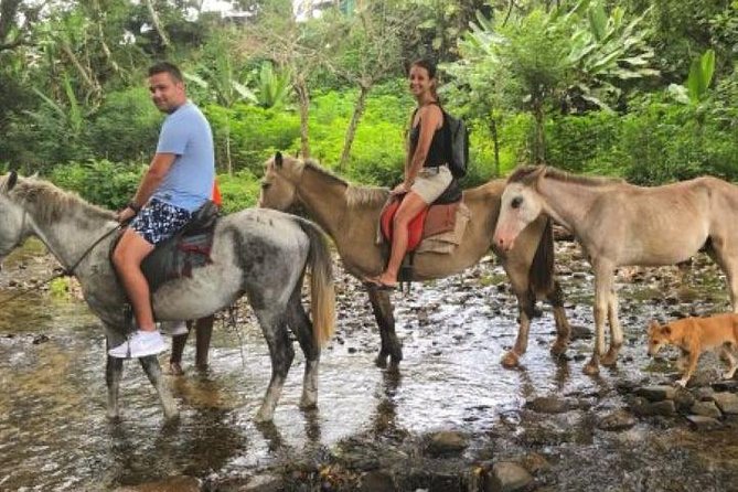 Authentic Fijian Day Tour - The real point of this Nadi private day: kava, culture, and a cooler ride