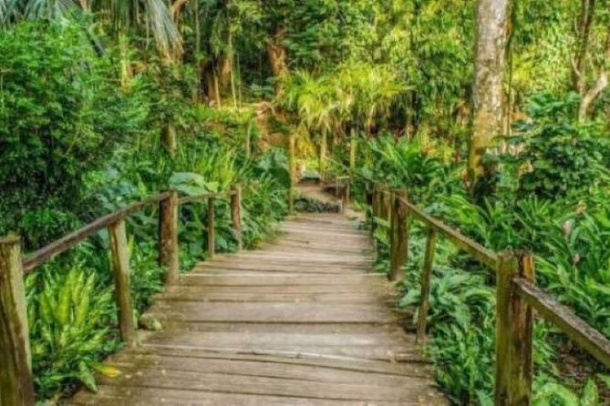 Best of Fiji Tours: 3 Days Package - Day 3: Zip Fiji Momi zipline and caves, a half-day of adrenaline
