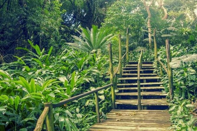 Best of Nadi Highlights - A 6.5-hour sampler of Nadi, temple to hot springs