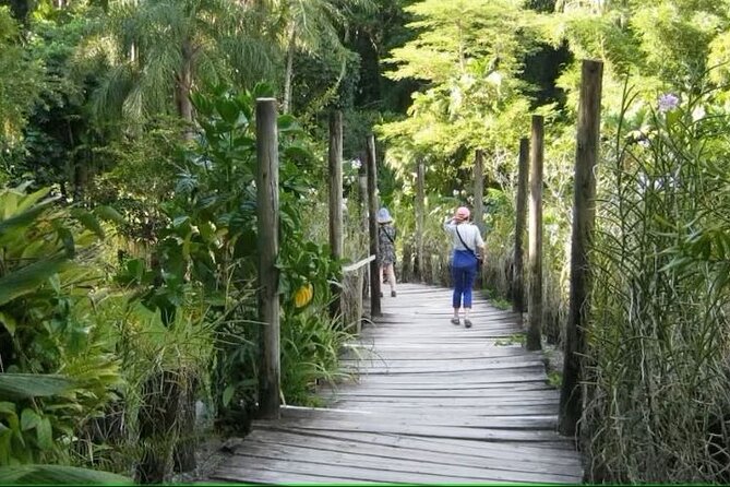Best of Nadi Highlights - Viseisei Village plus the school add-on: culture time with real schedule limits