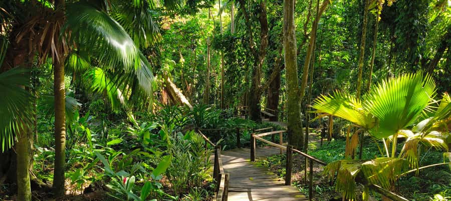 Best of Nadi Highlights - Should you book the Best of Nadi Highlights?