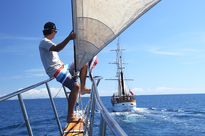 Capt Cook Cruises Super Saver Combo: Day Sail + Dinner Cruise - Lunch, Drinks, and the Island Rhythm You’ll Actually Use