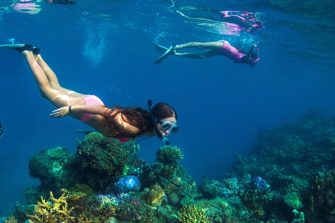 Capt Cook Cruises Super Saver Combo: Day Sail + Dinner Cruise - On Tivua: Snorkeling, Glass-Bottom Boat, Canoe, and a Herbal Medicine Walk