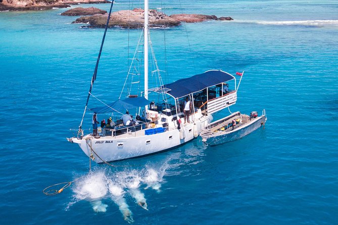 Coconut Cruiser Package | 7Days | 6Nights with All Activities Included - Snorkel, Tubes, And Night Sea Life: What To Expect