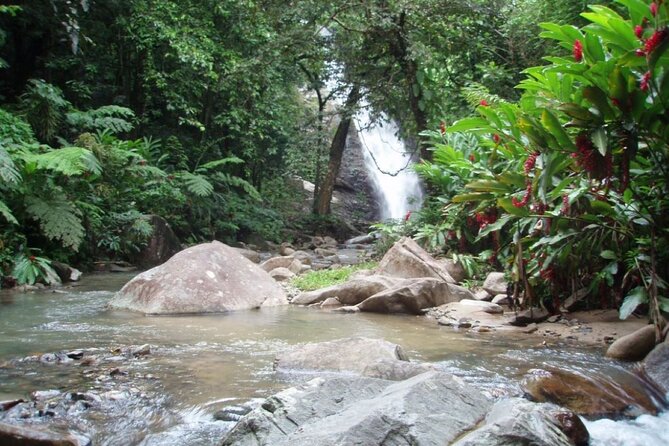 Coral Coast Adventure: Biausevu Waterfall & Natadola Beach - Lunch at Baravi Handicraft: food plus small-moment shopping