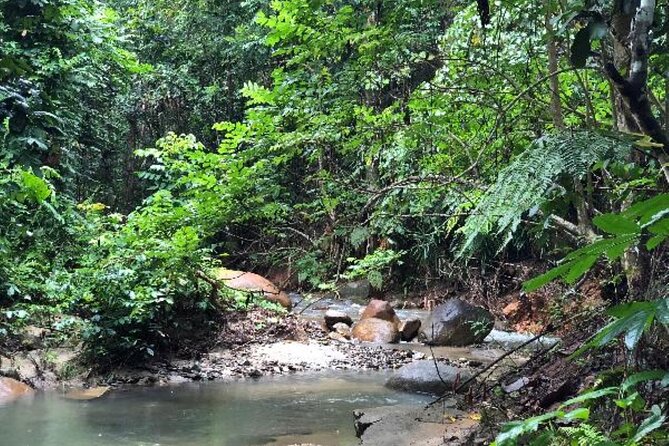 Coral Coast Adventure: Biausevu Waterfall & Natadola Beach - Natadola Beach: why this is a smart final stop