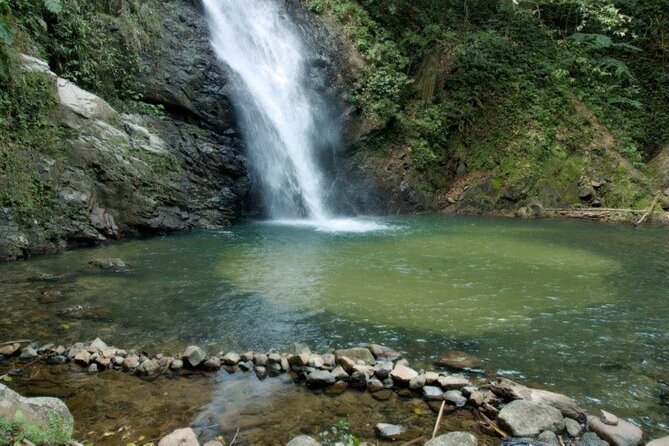 Coral Coast Adventure: Biausevu Waterfall & Natadola Beach - Transportation, guide style, and what “seamless” really means here