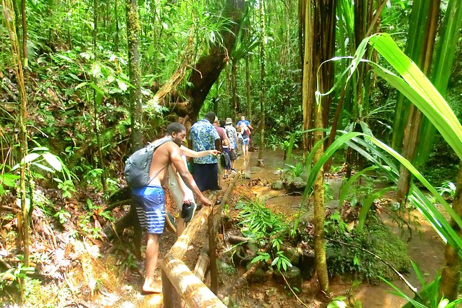 Customized Suva day tour - Waterfalls, Forest Walks, and Swimming When Conditions Allow