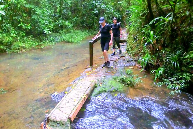 Customized Suva day tour - The Guide Experience, From Bilingual Storytelling to Extra Help