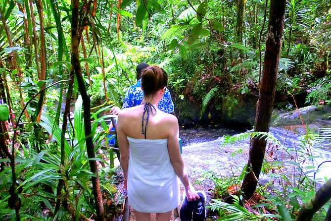 Customized Suva day tour - Who This Tour Suits Best