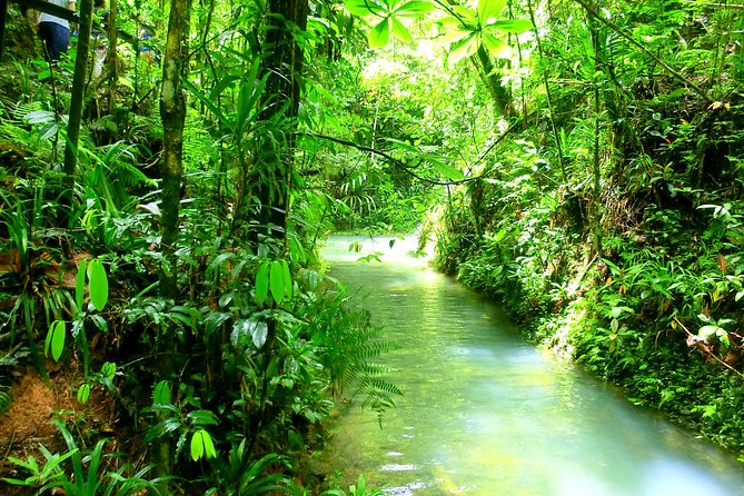 Customized Suva day tour - Should You Book This Suva Customized Day Tour?