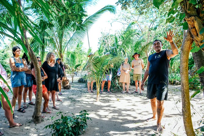Day and Night Combo Tour - Island afternoon on Likuri-style beach time: snorkeling, kayaking, and real talk about conditions