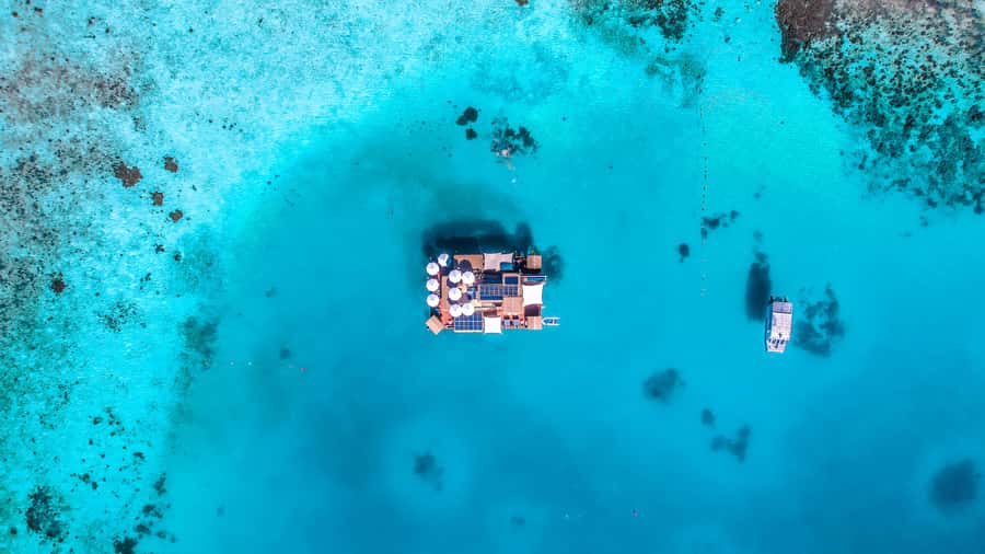 Denarau: Seventh Heaven Floating Bar Day Trip - What you get once you arrive: showers, clean toilets, loungers, and Wi-Fi