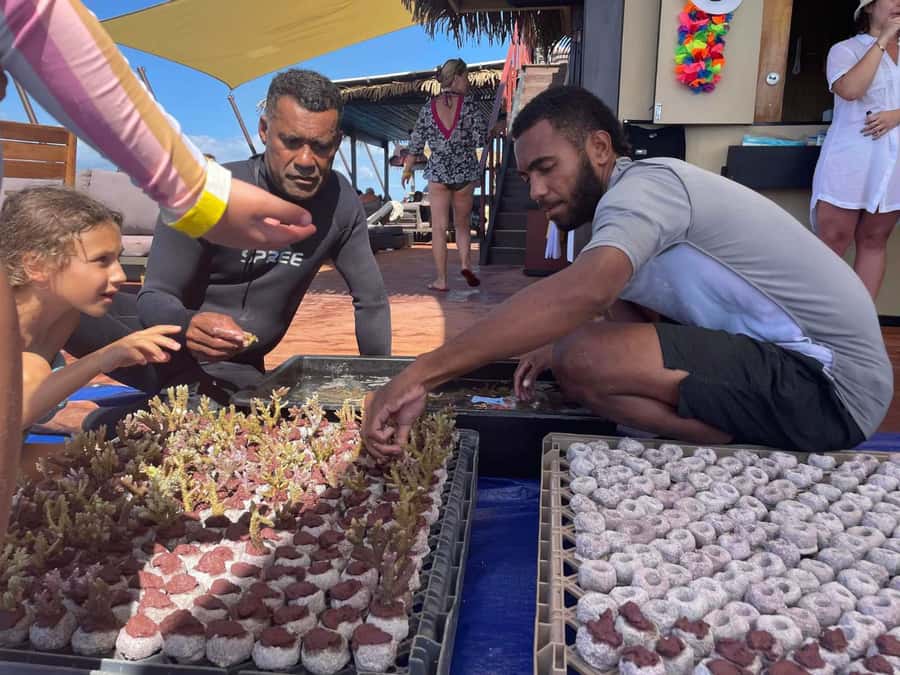 Denarau: Seventh Heaven Floating Bar Day Trip - Food, drinks, and the card-only rule: where your budget goes