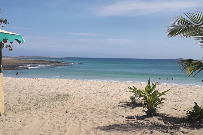 Discover Coral Coast & Natadola Beach Tour - Pickup, group size, and how the day stays manageable