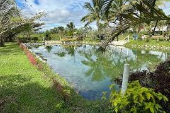 Discover Mud pool/Hot -Spring Nadi - Massage After Your Soaking: How It Fits the Day