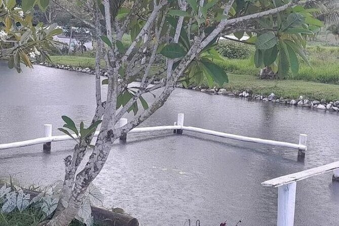 Discover Mud pool/Hot -Spring Nadi - Sleeping Giant Garden: Optional Stop, Timing, and What You Should Expect