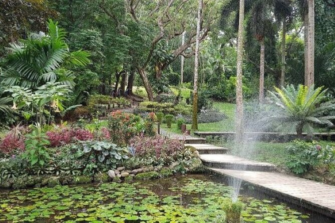 Discover Mud pool/Hot -Spring Nadi - What to Bring, What to Wear, and How to Enjoy the Mess