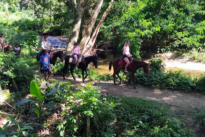 Fiji Adventure: Biausevu Waterfall & Dunes hiking Combo Tour! - Sigatoka Sand Dunes National Park: birds, dry forest, and a hike you should respect
