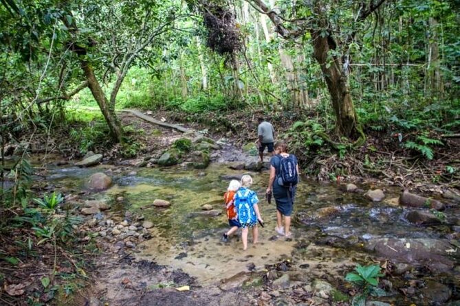 Fiji Adventure: Biausevu Waterfall & Dunes hiking Combo Tour! - Who should book this hike-focused combo tour