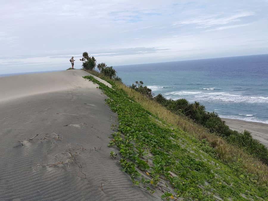 Fiji: Biausevu Waterfall and Sigatoka Sand Dunes Tour - Biausevu Waterfall Morning, Kava Ceremony, and a Real Rainforest Swim