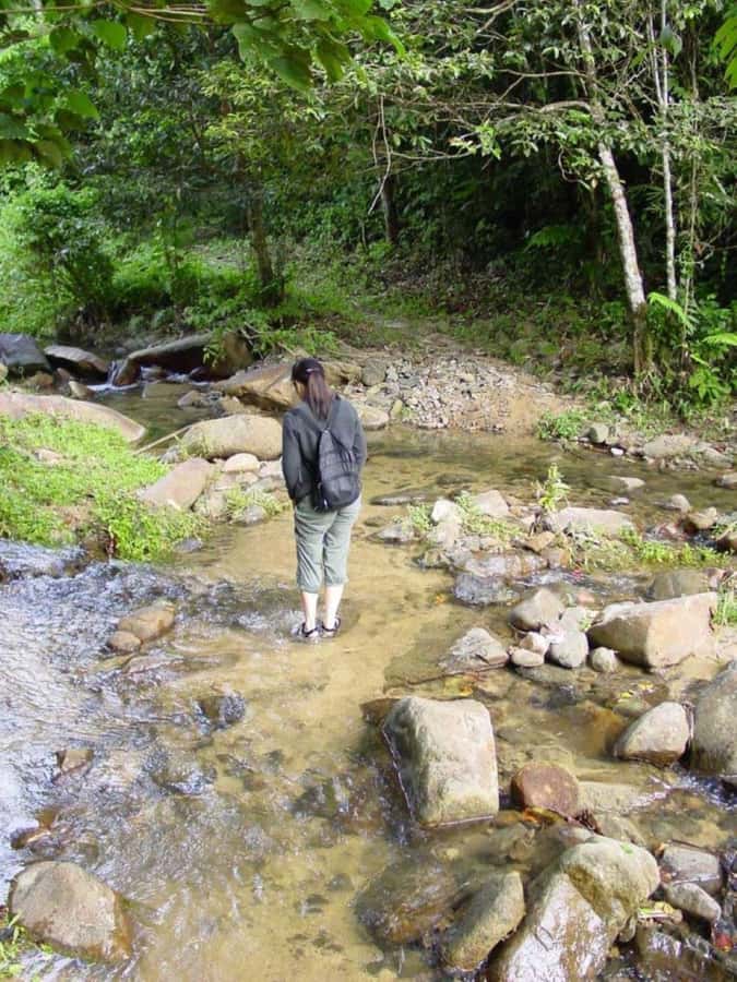 Fiji Biausevu waterfall & Village Tour - Horseback through the jungle, what is included and what costs extra