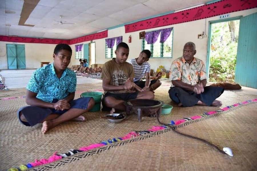 Fiji Biausevu waterfall & Village Tour - Price and logistics: where the value feels strong and where it can wobble