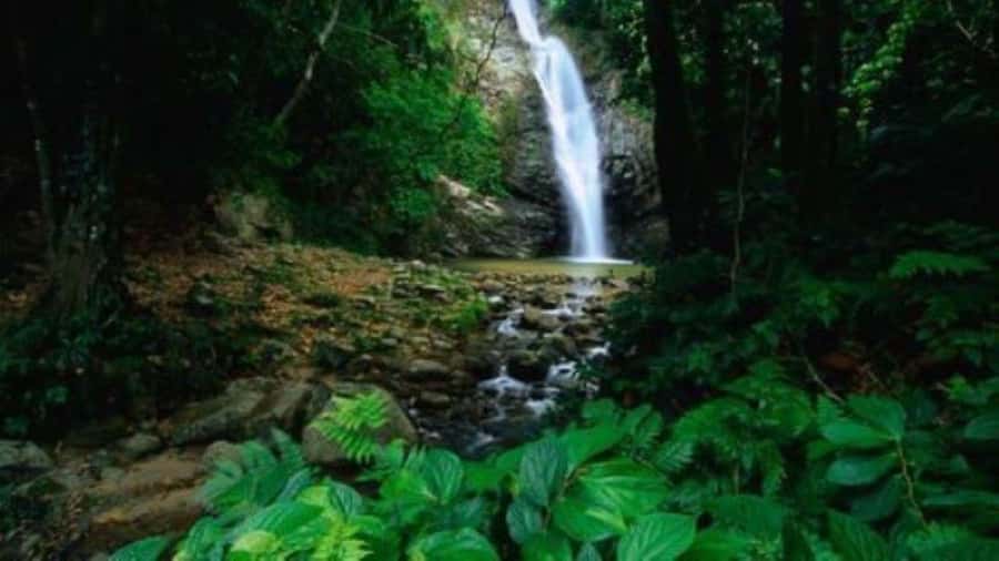 Fiji Biausevu waterfall & Village Tour - Tips that make this day-trip much easier