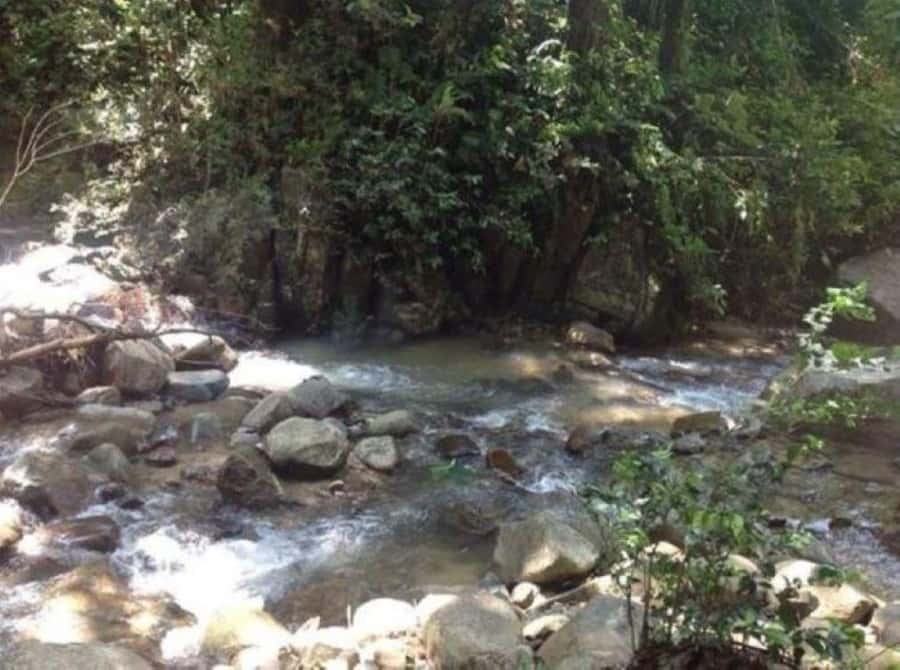 Fiji Biausevu waterfall & Village Tour - Should you book the Fiji Biausevu waterfall and village tour?