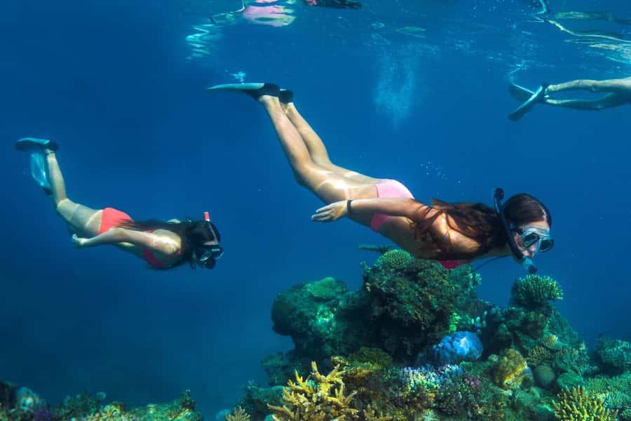 Fiji: Captain Cook Cruises - Island & Reef Day Trip - Cultural Moments Beyond the Show: Kava, Performances, and Participation