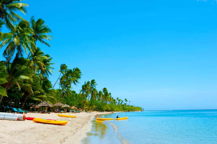 Fiji: Cultural Island Adventure & Jungle Cruise Experience - Price and Value: Is $123 a Fair Trade for a Full 8 Hours?