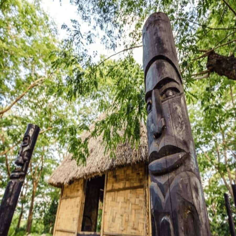 Fiji: Cultural Village Evening Tour with Dinner and Show - Key things that make this Fiji village evening worth it
