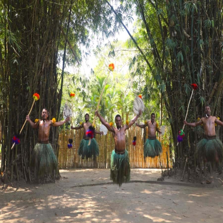 Fiji: Cultural Village Evening Tour with Dinner and Show - Price and value: is $76 worth a full evening package?