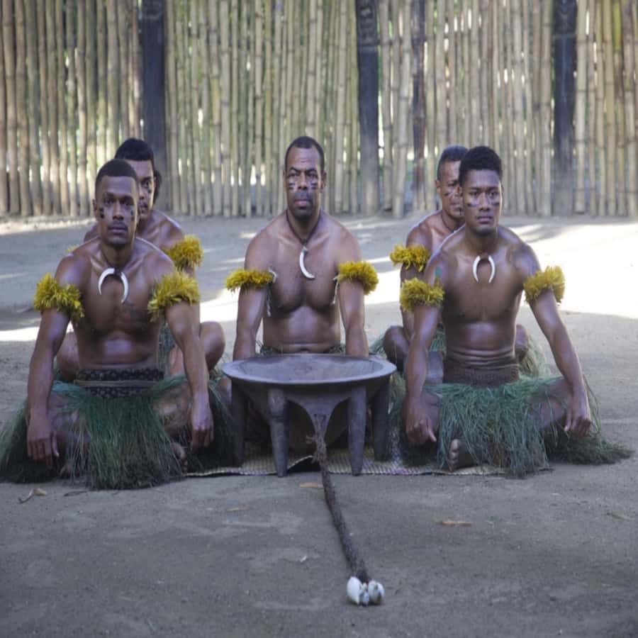 Fiji: Cultural Village Evening Tour with Dinner and Show - Who this Fiji night fits best, and who should think twice