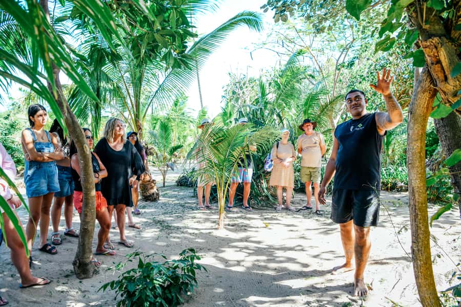 Fiji: Day and Night Combo Tour - Sunset and the night shift: bonfire, fire walking, and the show