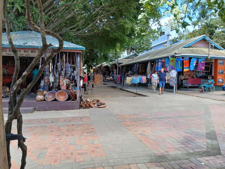 Fiji: Discover Nadi with Sabeto Hotspring and Mudpool Tour - A day that strings together temple, markets, and the Sabeto mud pools