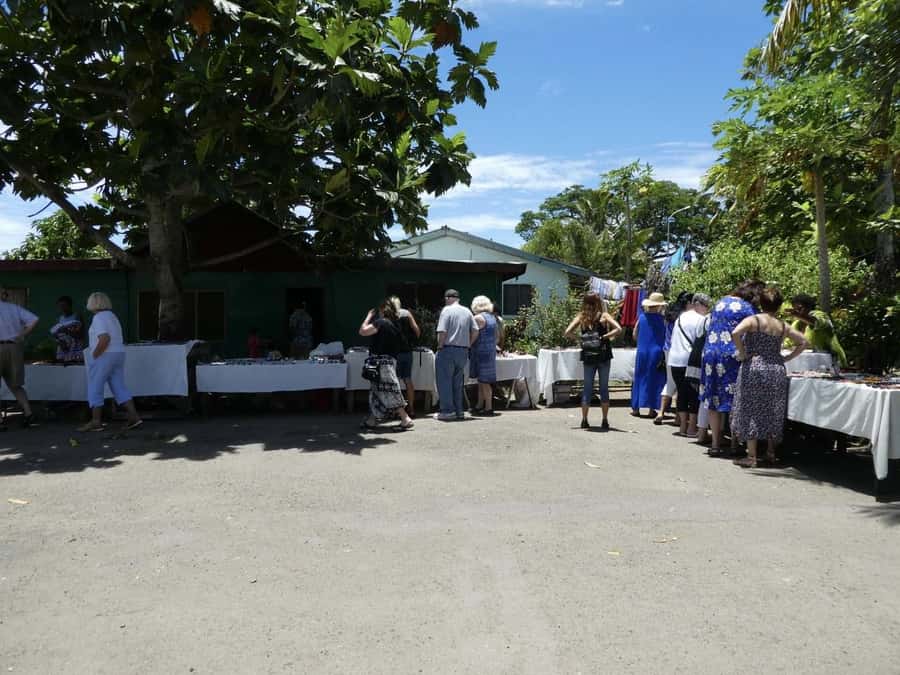 Fiji: Discover Nadi with Sabeto Hotspring and Mudpool Tour - Viseisei chief traditional house and the village day context