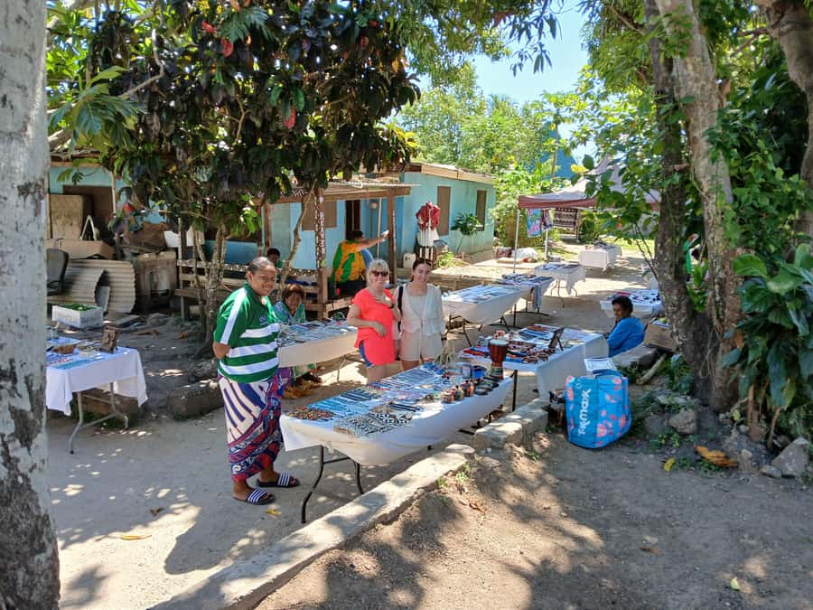 Fiji: Discover Nadi with Sabeto Hotspring and Mudpool Tour - Transfers, group flow, and timing that matters for a 4.5 to 6.5 hour day