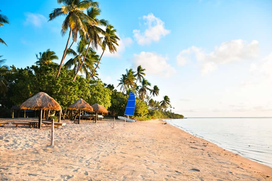 Fiji: Full Day Cultural Island Tour with Lunch & Cruise - The ride in: pickup, bus time, then the river boat toward Tuva River jungle scenes