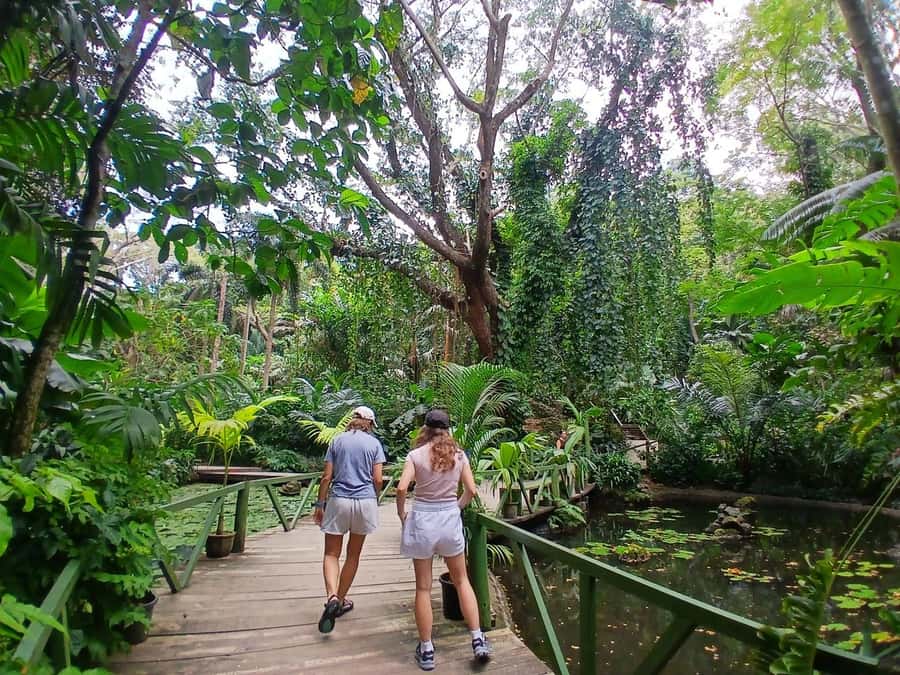 FIJI: Garden of the Sleeping Giant Tour - Native forest stroll and the lily pond, with real “walk-up” views