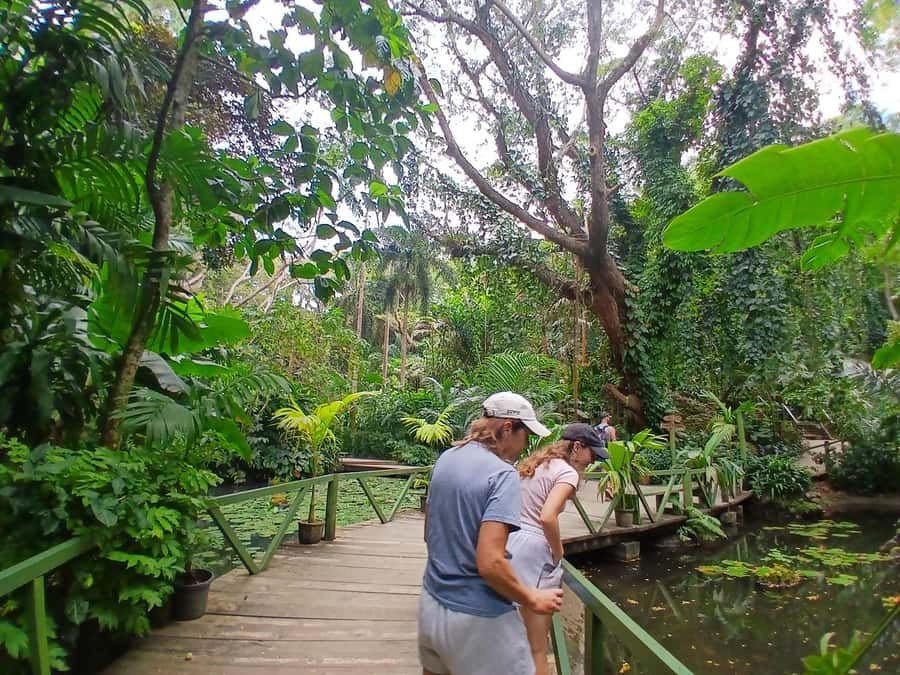 FIJI: Garden of the Sleeping Giant Tour - The hike to the look out, and why it’s worth the effort