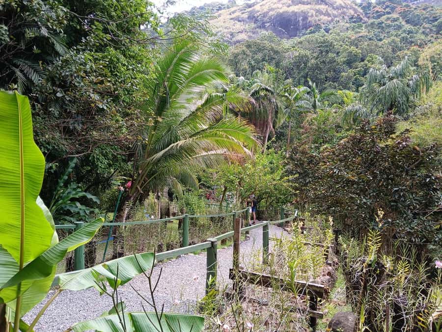 FIJI: Garden of the Sleeping Giant Tour - Morning vs later: timing that affects crowds, photos, and your mood