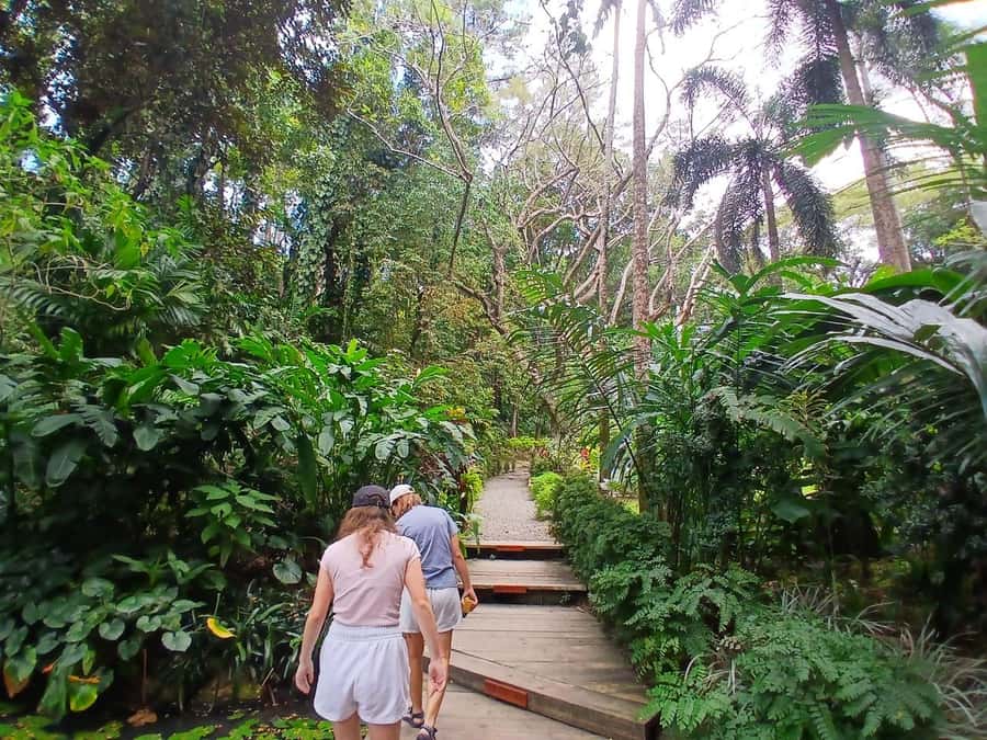 FIJI: Garden of the Sleeping Giant Tour - Transfers, pickup, and how not to waste time in Nadi