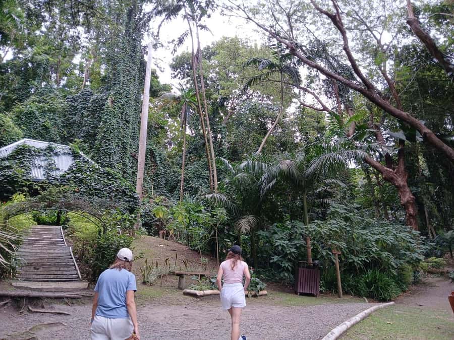 FIJI: Garden of the Sleeping Giant Tour - What you should bring (and what to leave behind)