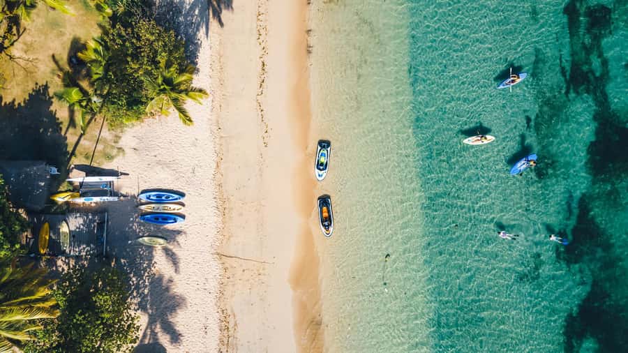 Fiji: Half-Day Island Activities Tour with Jungle Cruise - Quick highlights you will care about