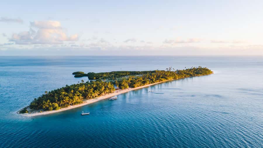 Fiji: Half-Day Island Activities Tour with Jungle Cruise - Medicine Jungle Bush Walk and the ancient pottery site: what this part gives you