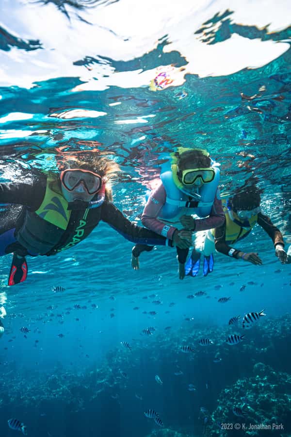 Fiji: Kuata Island Marine Conservation Experience Full Day - What to bring for comfort and better photos (and what to skip)